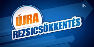 Illustration for article titled Rövid választási útikalauz stopposoknak